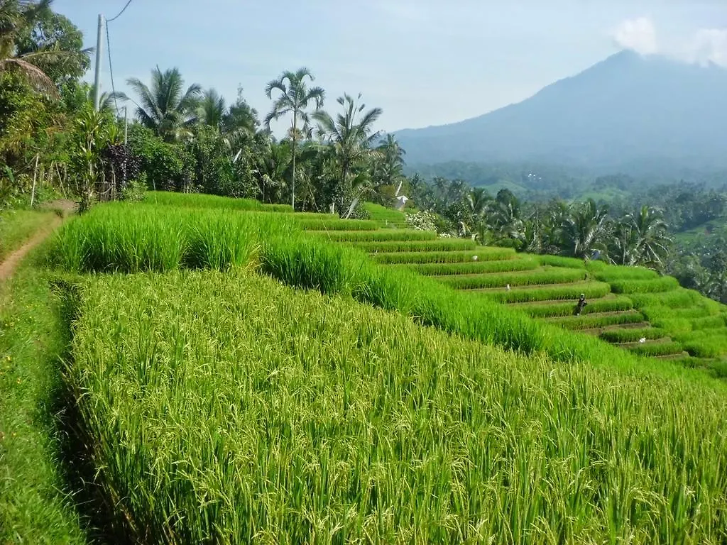 Bliss Surfer Hotel By Tritama Hospitality Legian